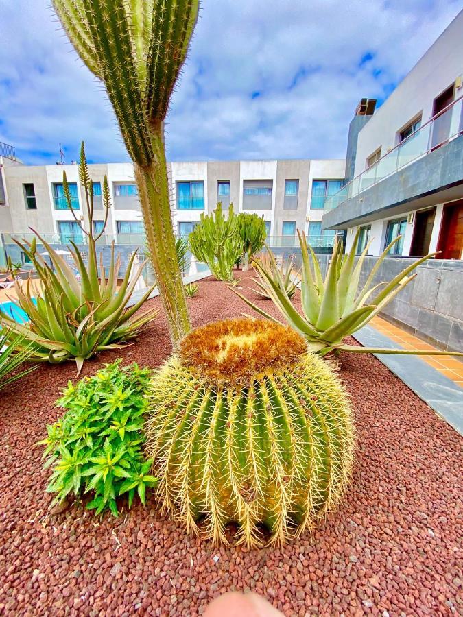 Mar De Fuerteventura 2 Apartment Коралео Екстериор снимка